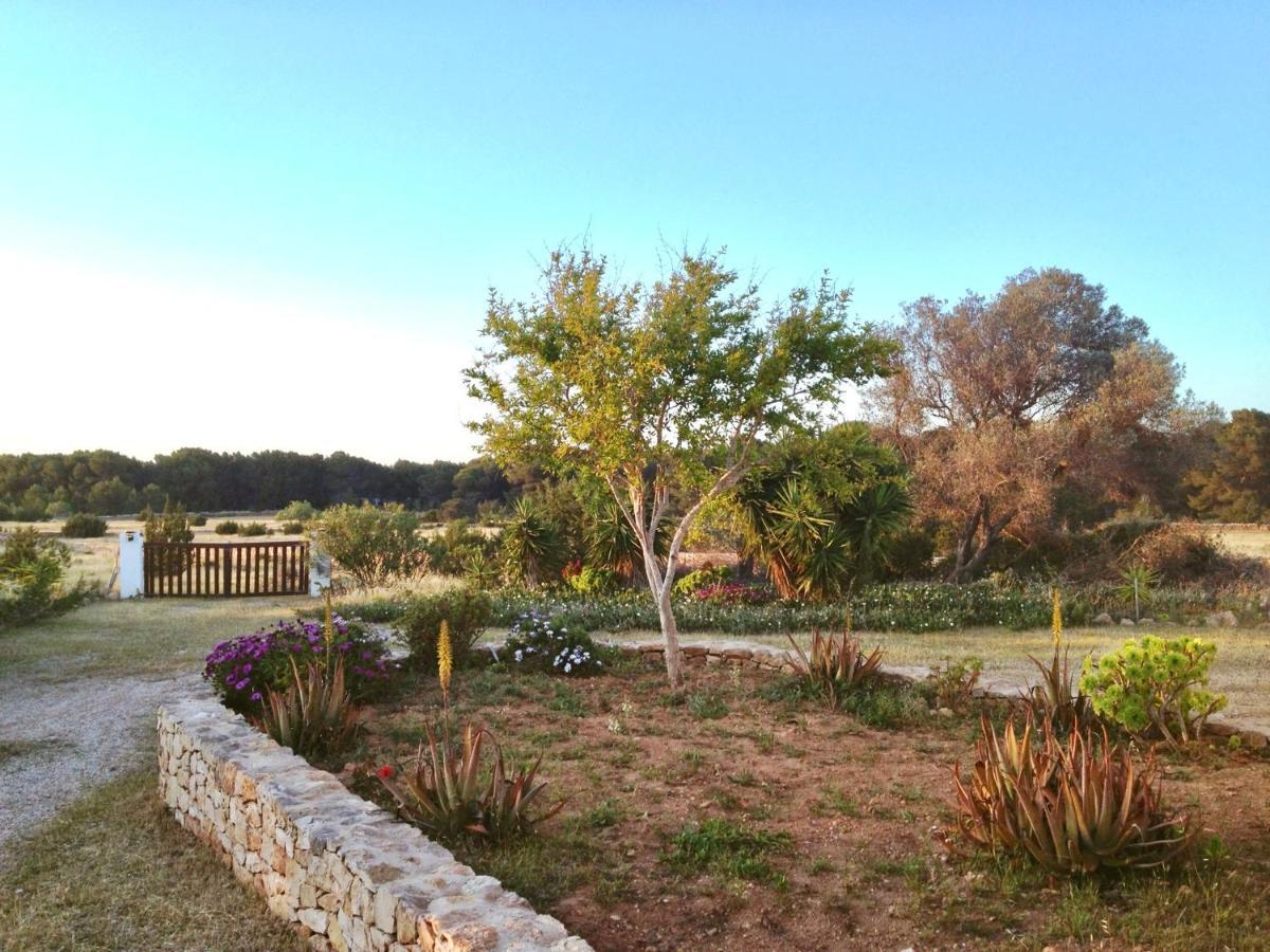Ses Oliveres Cala Saona Exterior photo