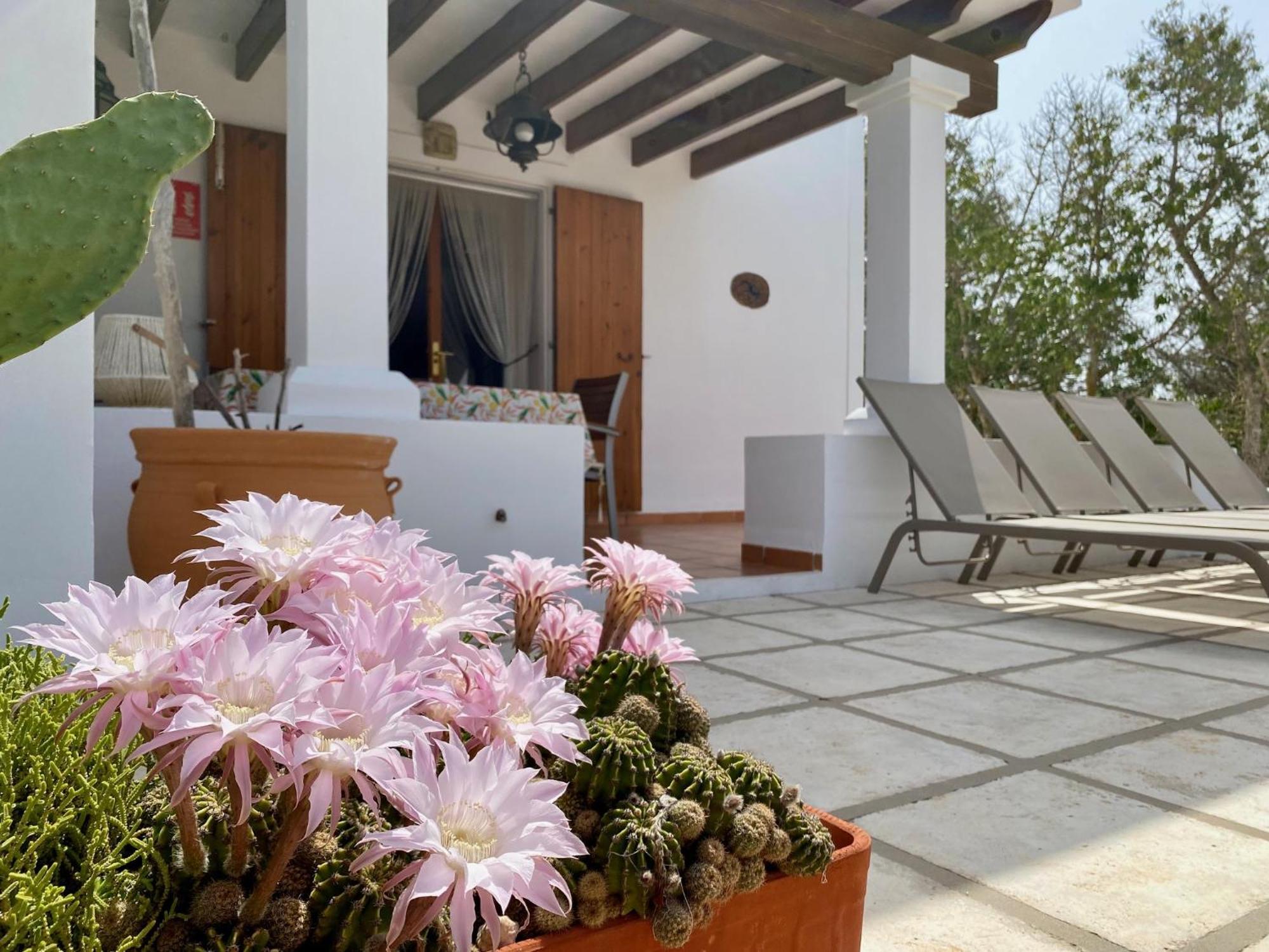 Ses Oliveres Cala Saona Exterior photo